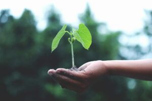 Planter des graines dans l'esprit des gens pour que celles-ci germent et permettent ainsi d'améliorer leur qualité de vie.