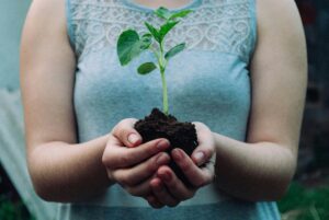 La plante pousse. Elle est nourrie par des informations et de l'aide supplémentaire. Dans le but de pousser plus loin ses capacités à améliorer sa vie.